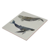 Mooie walvissen keramische keuken Tegel Tegeltje (Zijkant)