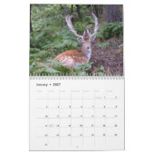 Mooie wandagenda voor racks kalender (Jan 2027)