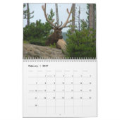 Mooie wandagenda voor racks kalender (Feb 2027)