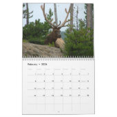 Mooie wandagenda voor racks kalender (Feb 2026)