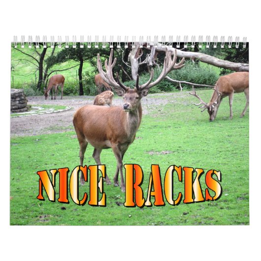 Mooie wandagenda voor racks kalender (Hoes)