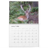 Mooie wandagenda voor racks kalender (Jan 2026)