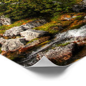 Mooie wandelvloeren, bomen en bergen poster (Hoek)