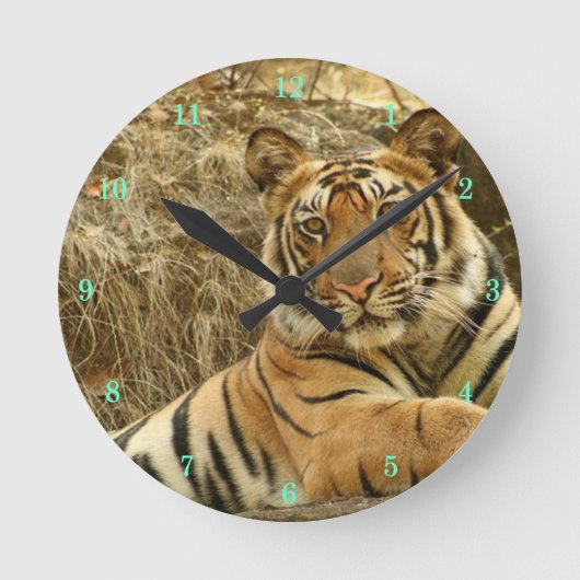 Mooie wandklok in Wildlife (Voorkant)