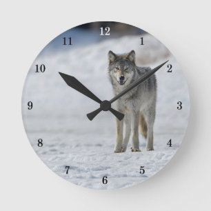 Mooie wandklok in Wildlife