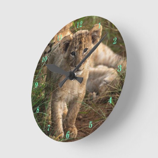 Mooie wandklok in Wildlife (Hoek)