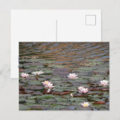Mooie Water Lelies DIY Briefkaart (Voorkant / Achterkant)