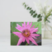 Mooie Water Lily Bewegende Aankondiging Briefkaart (Staand voorkant)