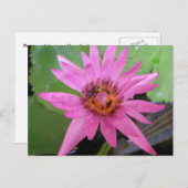 Mooie Water Lily Bewegende Aankondiging Briefkaart (Voorkant / Achterkant)