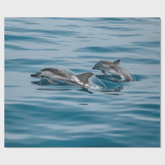 Mooie waterdolfijnen cadeaupapier (Vlak)