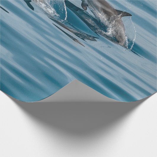 Mooie waterdolfijnen cadeaupapier (Hoek)
