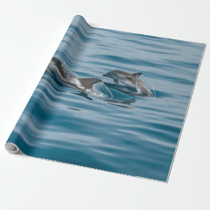 Mooie waterdolfijnen cadeaupapier
