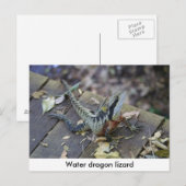 Mooie waterdraak briefkaart (Voorkant / Achterkant)