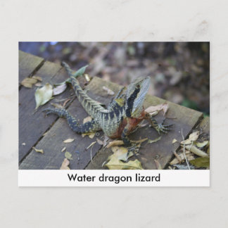 Mooie waterdraak briefkaart