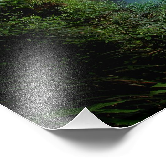 Mooie waterHerfst Foto Afdruk (Hoek)