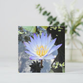 Mooie Waterlelie Foto Sky Reflectie Kaart (Staand voorkant)