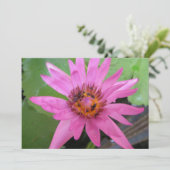 mooie waterlelozen, aankondiging (Staand voorkant)