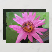 mooie waterlelozen, aankondiging (Voorkant / Achterkant)