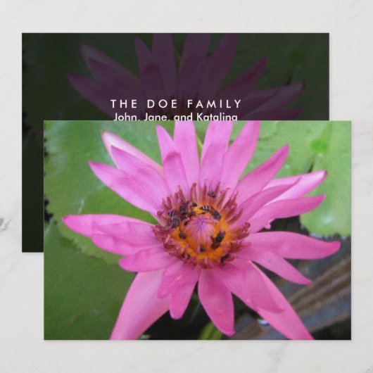 mooie waterlelozen, aankondiging (Voorkant / Achterkant)