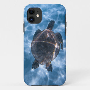 Mooie waterschildpad Beste geschenk voor het lev Case-Mate iPhone Case