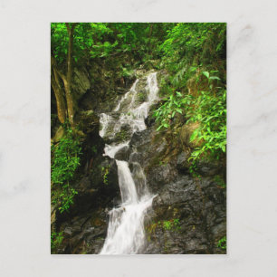 Mooie waterval in een Lush Green Forest Briefkaart