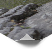 Mooie waterval in het Appalachian gebergte Poster (Hoek)