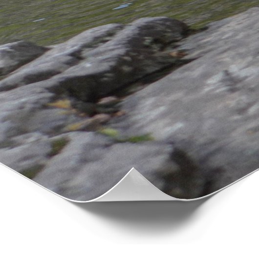 Mooie waterval in het Appalachian gebergte Poster (Hoek)