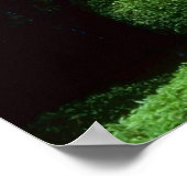 Mooie waterval poster (Hoek)