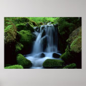 Mooie waterval poster (Voorkant)