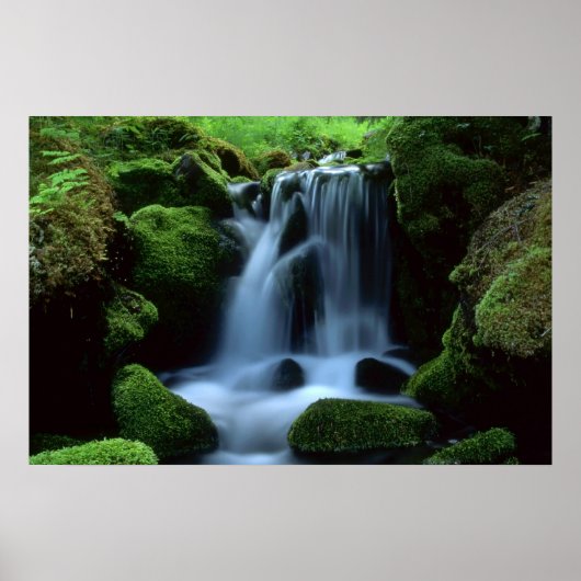 Mooie waterval poster (Voorkant)