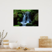 Mooie waterval poster (Keuken)