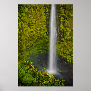 Mooie watervallen en cascades in overvloed poster