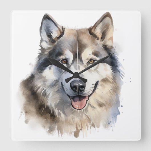 MOOIE WATERVERF ALASKAN MALAMUTE HOND VIERKANTE KLOK (Voorkant)