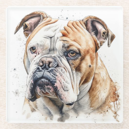 MOOIE WATERVERF BRUIN WIT BULLDOG GEZICHT GLAZEN ONDERZETTER (Voorkant)