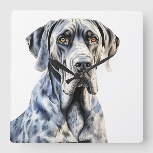 MOOIE WATERVERF GROTE DEENSE HOND VIERKANTE KLOK (Voorkant)