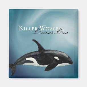 Mooie Waterverf Killer Whale, Orcinus Orca Magneet