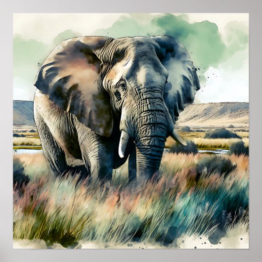 Mooie Waterverf olifant Poster (Voorkant)