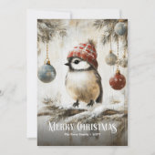 Mooie Waterverf Rode Witte Kerst Robin Kaart (Voorkant)