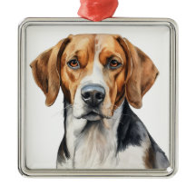 MOOIE WATERVERF TRI KLEUR FOXHOUND DOG