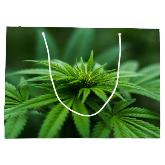 Mooie weed groot cadeauzakje (Achterkant)