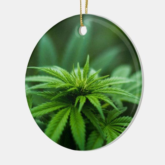 Mooie weed keramisch ornament (Links)