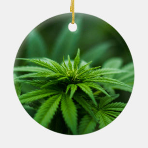 Mooie weed keramisch ornament