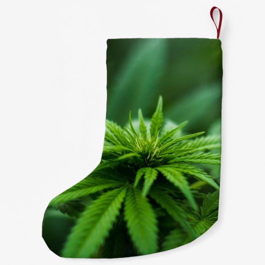 Mooie weed kleine kerstsok (Achterkant)