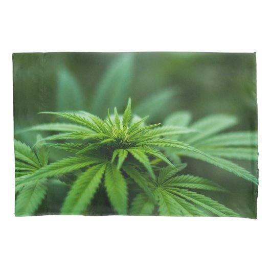 Mooie weed kussensloop (Voorkant)