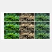 Mooie weed labels (Vel)