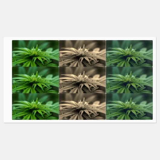 Mooie weed labels (Vel)