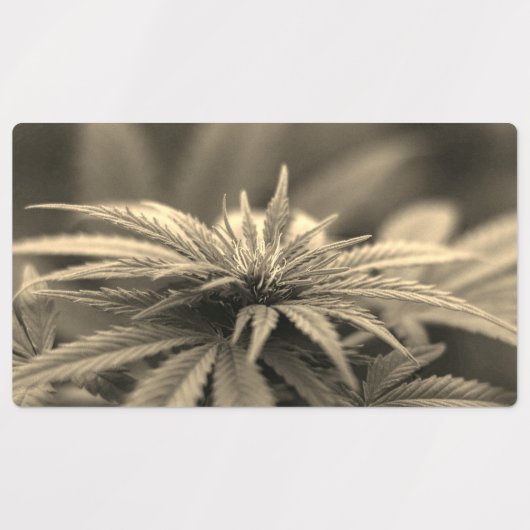 Mooie weed labels (Design 2)