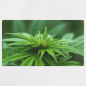 Mooie weed labels (Design 1)