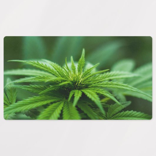 Mooie weed labels (Design 1)