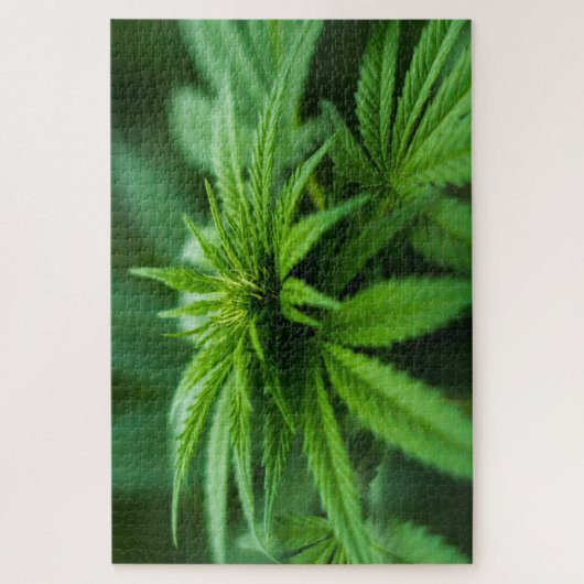 Mooie weed legpuzzel (Verticaal)